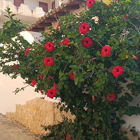 Al Faro Bed and Breakfast Realmonte Buitenkant foto